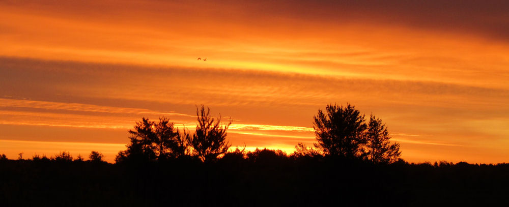 St Croix River Sunset