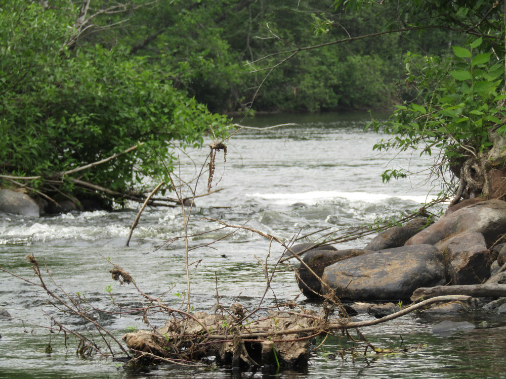 Upper St Croix River - 2