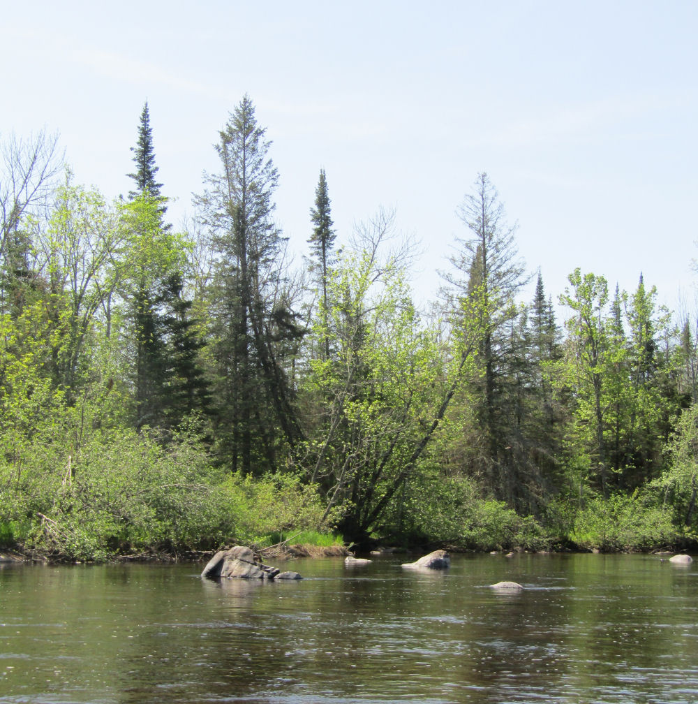 View of St Croix River 1