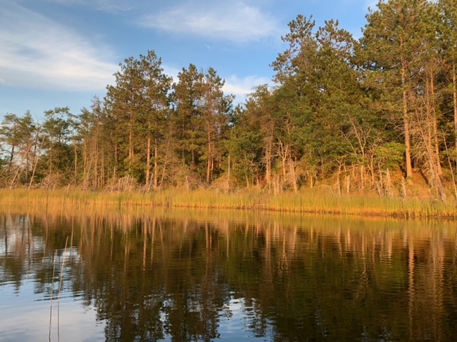 Wisconsin Shoreline in September