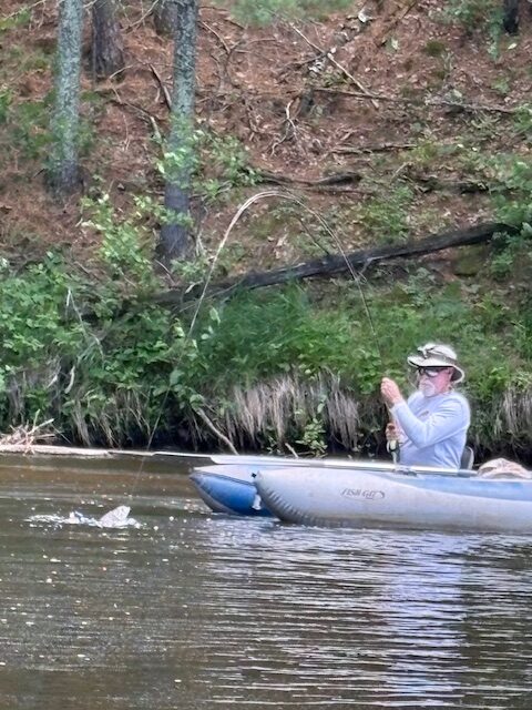 Jeff landing a big smallmouth bass - 1